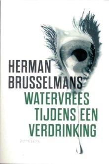 Prometheus Watervrees tijdens een verdrinking - eBook Herman Brusselmans (9044620843)