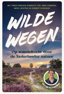 Prometheus Wilde wegen - Mátyás Bittenbinder - ebook