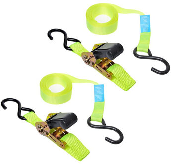 ProPlus Spanbanden - 2x stuks - met ratel en dubbele haak - 5 meter