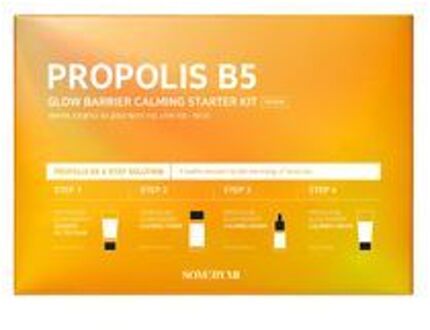 Propolis B5 Glow Barrier Calming Starter Kit - Huidverzorgingsset