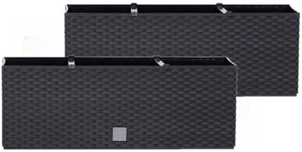 Prosperplast Bloembak met water irrigatiesysteem - Set van 2x stuks - antraciet - 60x25x24 cm - plan