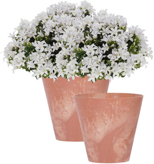 Prosperplast Bloempot/plantenpot voor buiten - 2x - kunststof - terracotta - D20 x H19 cm - 3,5 liter