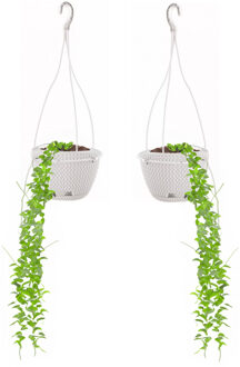 Prosperplast Hangende bloempot/plantenpot Splofy - 2x - wit - kunststof - 23 cm - met schotel - tuin hangdeco
