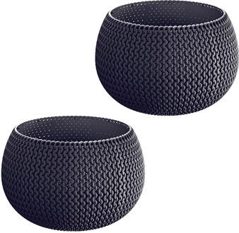 Prosperplast Kunststof bloempot/plantenpot Splofy - 2x - grijs - D19 x H20 cm - 4 liter - rond - buiten/tuin pott