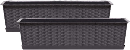 Prosperplast Plantenbak/bloembak Ratolla - 2x - 60 x 17 x 15 cm - kunststof - donkerbruin - met opvangschaal