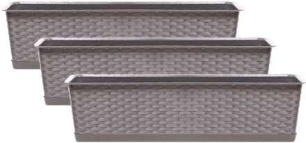 Prosperplast Plantenbak/bloembak Ratolla - 3x - 60 x 17 x 15 cm - kunststof - taupe - met opvangschaal