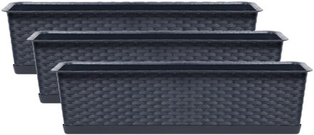Prosperplast Plantenbak Ratolla - 3x - grijs - 50x17x15 cm - 8L - bloemenbak