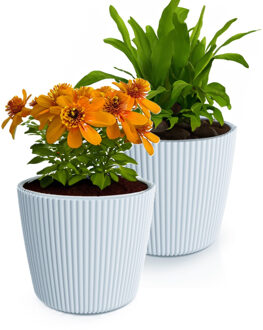 Prosperplast Plantenpot/bloempot Buckingham - 2x - buiten/binnen - kunststof - lichtgrijs - D17 x H15 cm