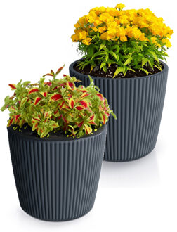 Prosperplast Plantenpot/bloempot Buckingham - 2x - kunststof - antraciet - 19 x 17 cm - Plantenpotten Grijs