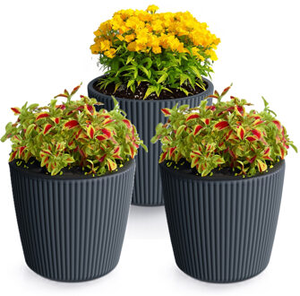 Prosperplast Plantenpot/bloempot Buckingham - 3x - buiten/binnen - kunststof - antraciet - D14 x H13 cm