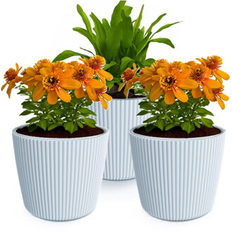 Prosperplast Plantenpot/bloempot Buckingham - 3x - buiten/binnen - kunststof - lichtgrijs - D14 x H13 cm