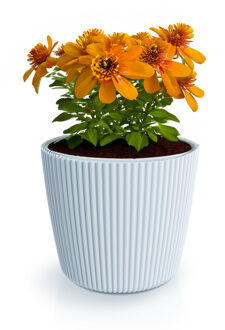 Prosperplast Plantenpot/bloempot Buckingham - kunststof - lichtgrijs - D14 x H13 cm - Plantenpotten