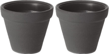 Prosperplast Plantenpot/bloempot Classic Garden - 2x - buiten/binnen - kunststof - antraciet - D25 x H26 cm - Plantenpot Grijs