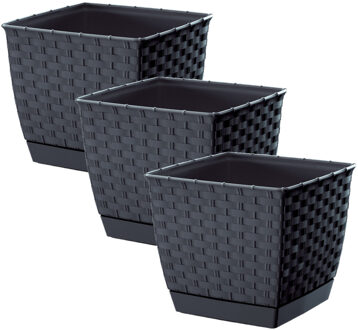 Prosperplast Plantenpot/bloempot - Set van 3x stuks - rotan kunststof - 22 x 19 cm - antraciet