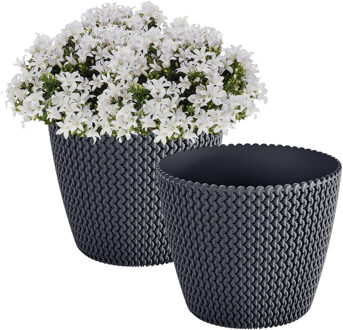 Prosperplast Plantenpot/bloempot Splofy - 2x - antraciet grijs - kunststof - D19 x H16 cm - binnen/buiten