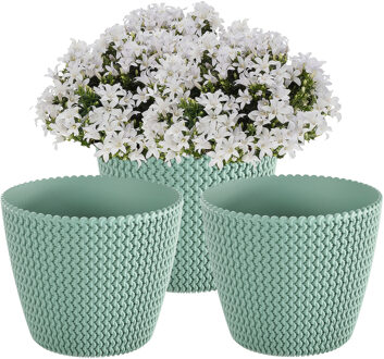 Prosperplast Plantenpot/bloempot Splofy - 3x - mint groen - kunststof - D16 x H13 cm - binnen/buiten