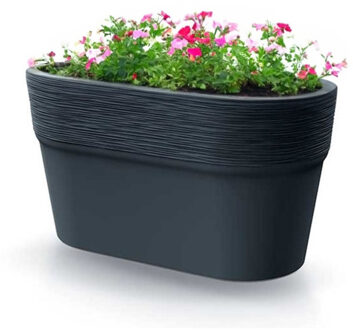 Prosperplast Plantenpot/bloempot Windsor - kunststof - antraciet - L28 x B15 x H15 cm - Plantenpotten Grijs