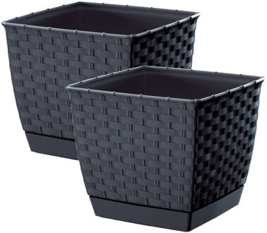 Prosperplast Set van 2x stuks plantenpotten/bloempotten rotan kunststof 19 x 19 cm en hoogte 16 cm antraciet grij - Plantenpotten Grijs