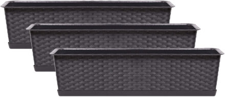 Prosperplast Set van 3x kunststof Ratolla rotan plantenbakken/bloembakken set donkerbruin 8 liter