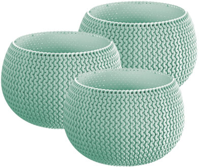 Prosperplast Set van 3x stuks plantenpotten/bloempotten kunststof dia 14.5 cm en hoogte 11 cm mintgroen