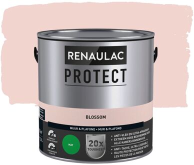 Protect Muurverf - Mat - Blossom - 2,5l