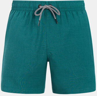 Protest Davey Beachshort Zwembroek Groen - XL