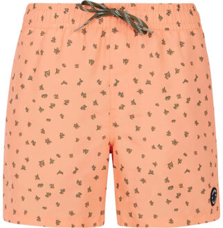 Protest juan beachshort zwemshort heren - Veelkleurig - M