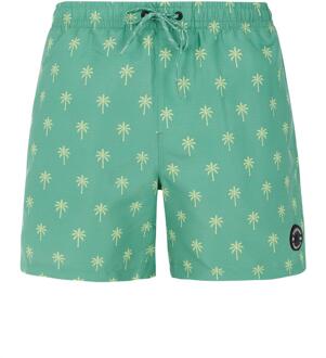 Protest PRTALVIS Zwemshort Heren S Groen