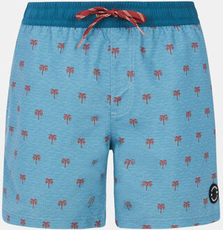 Protest Prtparco Beachshort Zwembroek Blauw - S