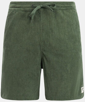 Protest Prtuleyo Shorts Korte Broek Groen