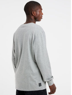 Protest shelby longsleeve t-shirt strandshirt heren - Grijs