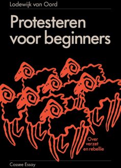 Protesteren voor beginners - Lodewijk van Oord - ebook