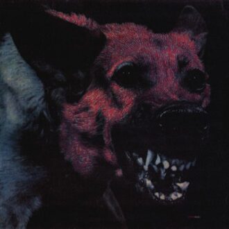 Protomartyr - Under Color Of Official