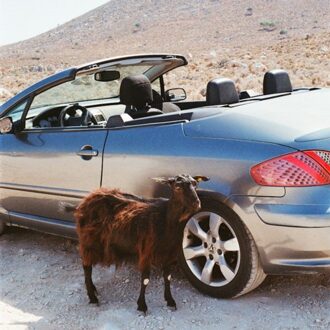 Prove The Mountains Move - Exek