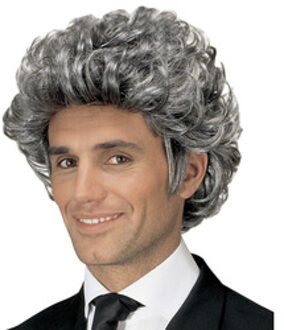 Pruik John grijs Zilver - Grijs