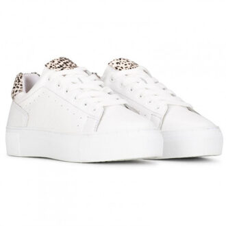 PS Poelman Lptitular-28poe Wit - 42