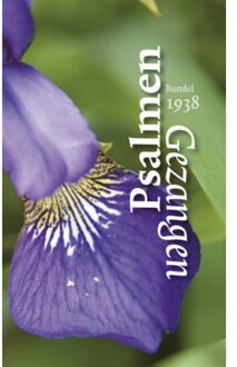 Psalmen en gezangen voor den eredienst der Nederlandse Hervormde kerk - Boek VBK Media (9023967410)