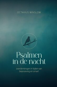 Psalmen in de nacht - Octavius Winslow - ebook
