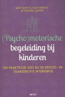 (Psycho)motorische begeleiding bij kinderen - eBook Griet Dewitte (9033496488)