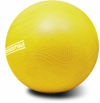 PTessentials SALE - Gymball PRO V2 - Swiss Ball - 55, 65 of 75 cm
