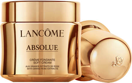 (public) Absolue dagcrème 60 ml Gezicht