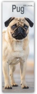 Pug Slim Calendar 2025 Dog Breed Slimline Calendar - 12 Month - Slimline-Kalender (Browntrout) - Avonside Publishing Ltd