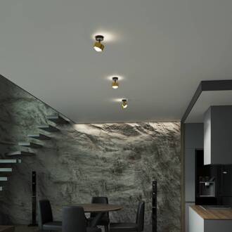 Puk! 80 Turn Up/downlight lens mat goud/zwart messing geborsteld, mat zwart