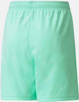 PUMA Boy's Puma Junior Psv Eindhoven Replica Short in Green blue Licht Groen - 11-12J / 146-152cm
