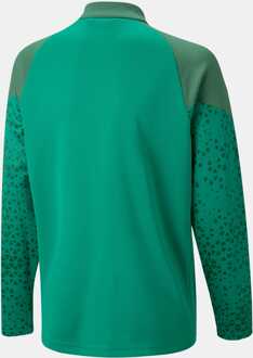 PUMA Boy's Puma Junior Teamcup Training Jacket in Green Groen - 11-12J / 146-152cm