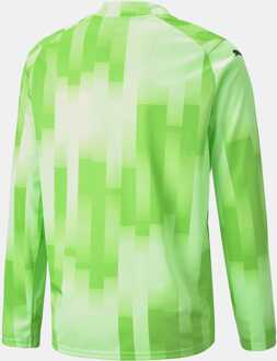 PUMA Boy's Puma Junior Teamtarget Long Sleeved Goalkeeper Jersey in Lime Limoengroen