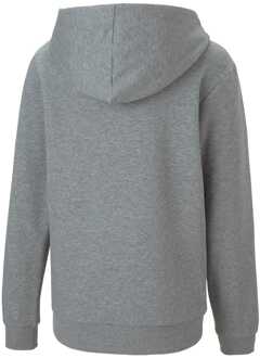 PUMA Boy's Puma Juniors TeamGOAL 23 Casuals Hooded Jacket in Grey - maat 9-10J / 134-140cm Grijs