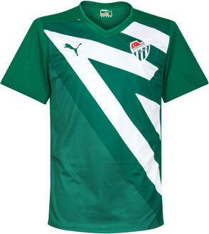 PUMA Bursaspor Shirt Uit 2015-2016