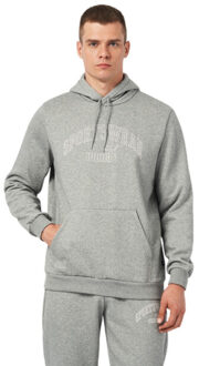 PUMA Dames ess+ lab gradient logo hoodie Grijs - S