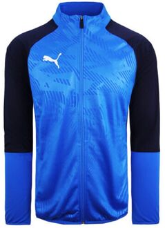 PUMA DryCell Heren Blauw Voetbaljack